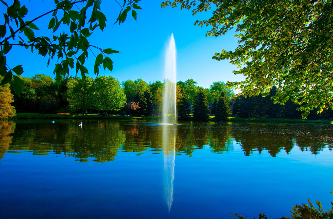 9  Key Features to Consider When Choosing Scott Pond Fountains [Infographic]
