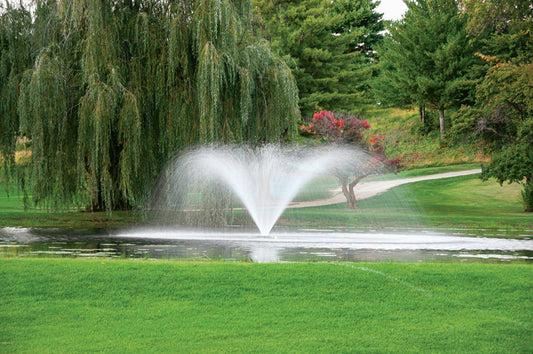 Pond fountains cost