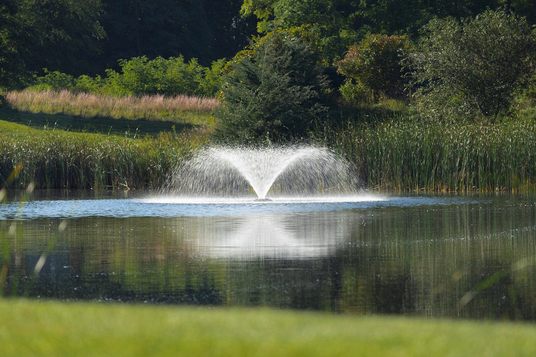 9 Tips for Choosing the Perfect Pond Fountains [Infographic]