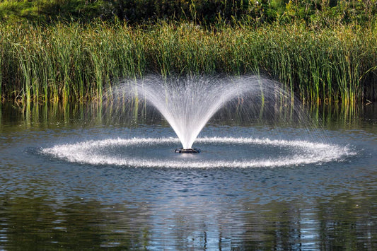 Essential Tips for Installing Pond Fountains with Lights