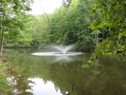 5 Benefits of Having a Pond